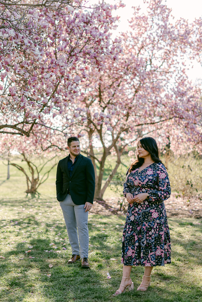 dc cherry blossoms couples session dc wedding photographer dc engagement photographer dc couples photographer washington